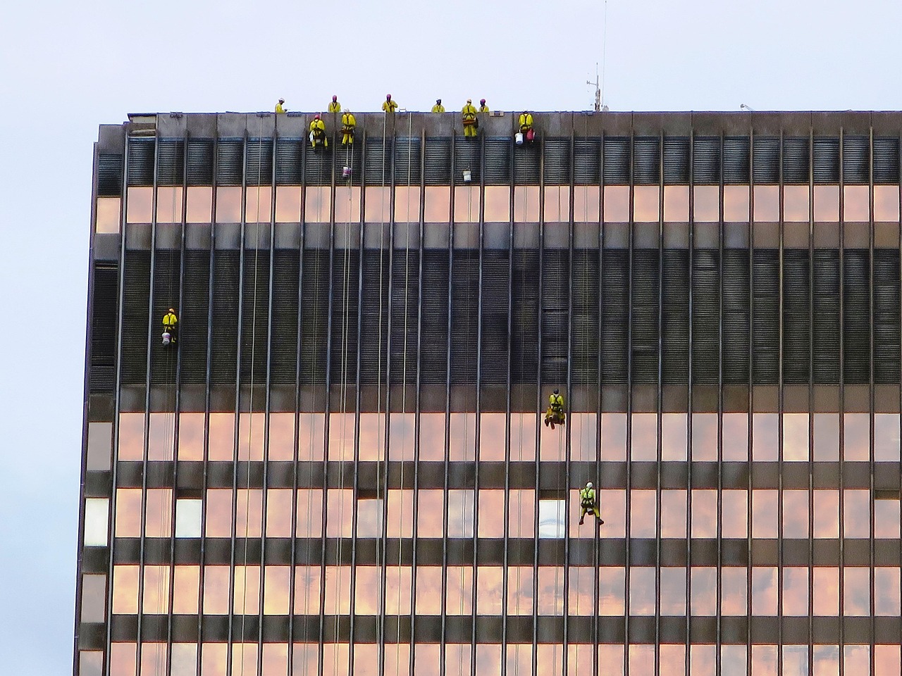 Rope-access cleaners working on a tower facade